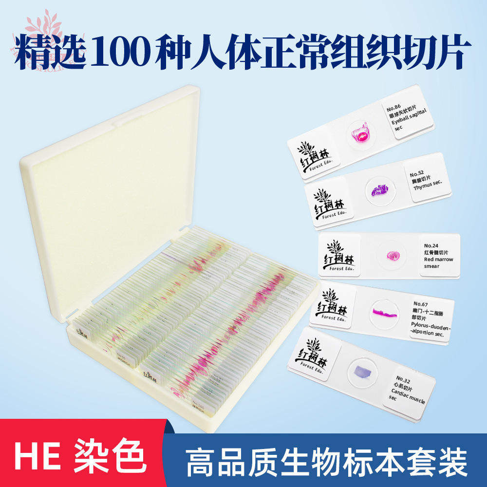 清晰正常组织玻片100种显像切片取材新鲜显微镜人体医学教学用具