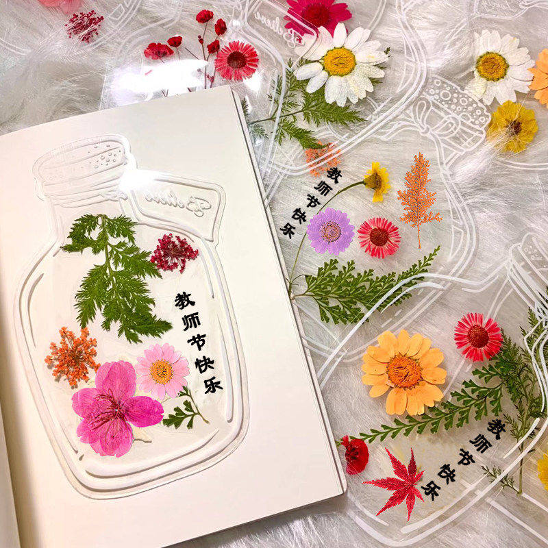 干花书签手工diy材料押压花植物树叶标本透明塑封膜瓶子里的春天