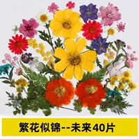 Лимонные желтые цветы, такие как парня-будущее