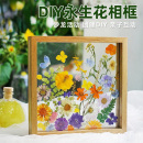 干花压花相框亚克力透明塑封膜手工diy材料植物树叶标本玻璃画框