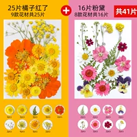 Оранжевый оранжевый красный 25+ розовый розовый рот 16