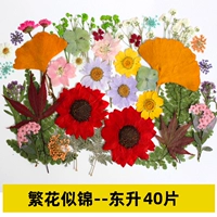 Ярко-желтые цветы, такие как парня-донгсенг