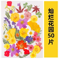 Флуоресцентный зеленый сад-50 таблетки