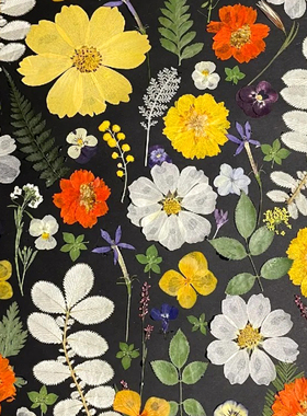 干花diy材料压花片真花书签植物树叶子标本永生花鲜花草滴胶押花