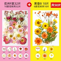 Желтый Huazhou F Версия 32+ Dusk B1