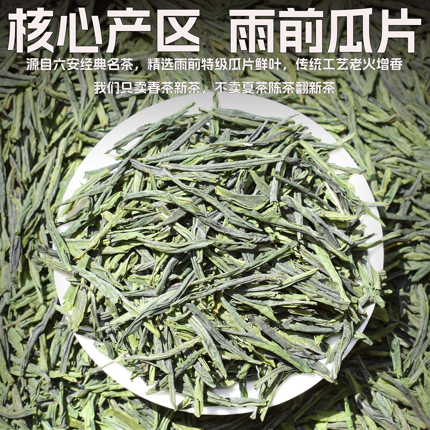 六安瓜片2026新茶特级正宗安徽绿茶雨前春茶浓香型茶叶礼盒装50g