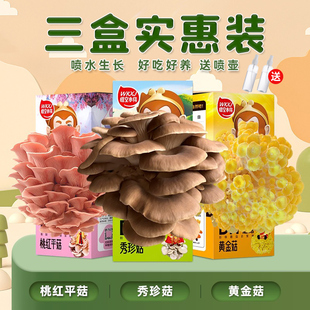 蘑菇种植包可食用蘑菇盒子菌包菌种子家种diy儿童种植蘑菇小盆栽