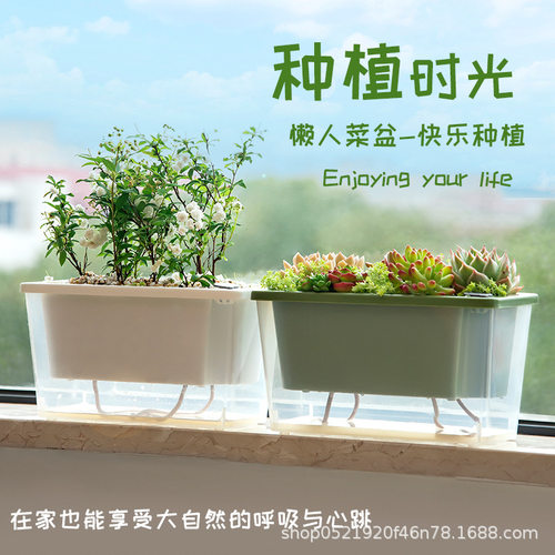 种葱阳台种菜盆边缝种植盆家箱窗沿自吸水花盆槽自吸水花盆