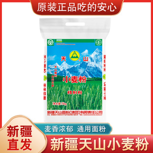 新疆直发天山面粉原装正品小麦粉蒸馒头包饺子拉条子面麦香劲道
