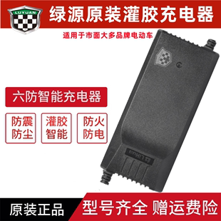 绿源原装充电器新日雅迪爱玛铅酸蓄电池充电器48V60V72V-12AH20AH