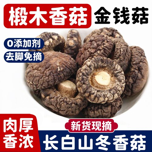东北椴木冬菇金钱菇无根肉厚袋装