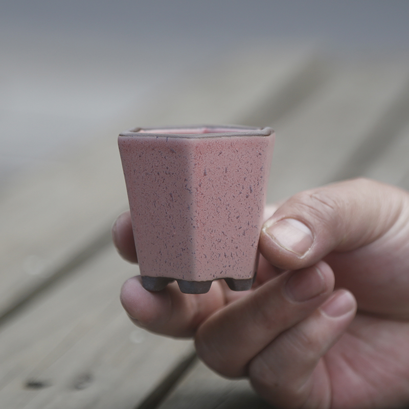 简约迷你控养型拇指盆