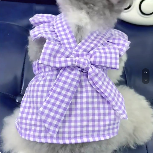 宠物连衣裙子猫咪小狗狗衣服夏季泰迪比熊雪纳瑞小型幼犬春夏薄款