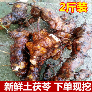 正宗深山新鲜土茯苓硬饭头生泡茶