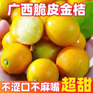 广西脆皮金桔新鲜水果桔子当季现摘甜蜜小金柑桔金橘桂林特产整箱