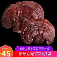 灵芝长白山灵芝深山整枝紫灵芝东北特产天然半野生紫芝泡酒料250g