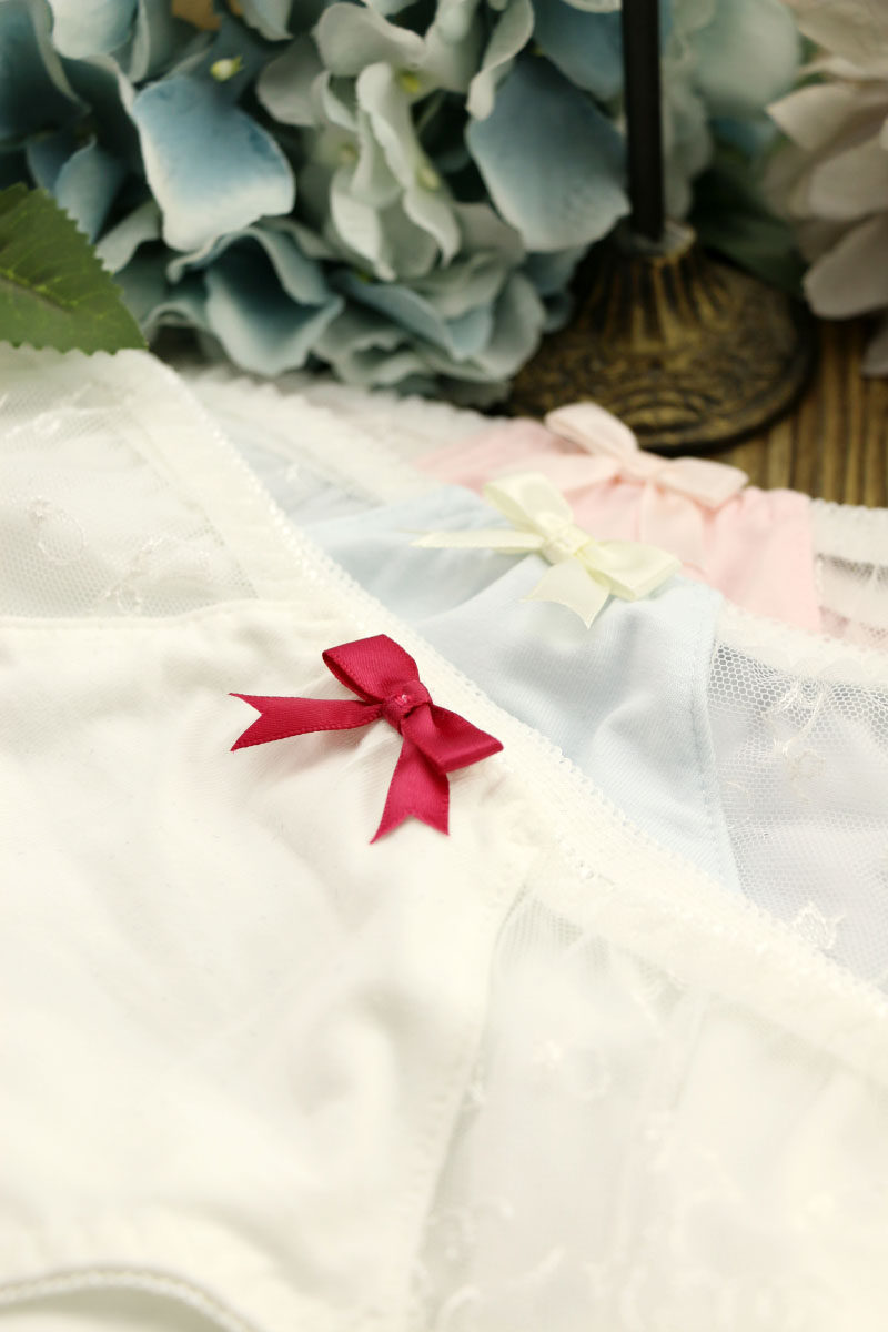 Slip 0718-14 en coton - Ref 641206 Image 1