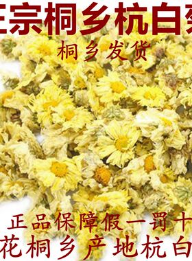 健康茶25年新花正宗桐乡产杭白菊花朵胎菊菊花茶250g500g朵杭菊茶