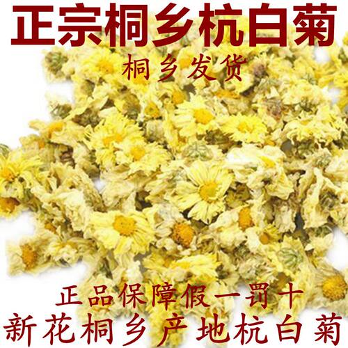 健康菊花茶新花正宗桐乡产杭白菊花朵胎菊菊花茶250g500g朵杭菊茶 - 封面