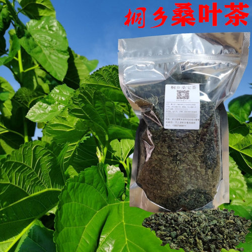 桐乡桑叶茶特产新鲜霜桑葚叶中药材纯叶桑宝茶养生茶500克包邮