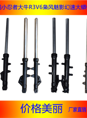 小忍者前减震器R3V6新世纪蛟龙H2h6永源枭风宝雕双RR摩托车前避震