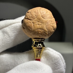 W-088【京城菩提出品】2025年 尼泊尔正宗五星上将，边23.6mm