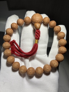 尼泊尔正宗小凤眼 229 2025年 实心籽 京城菩提出品