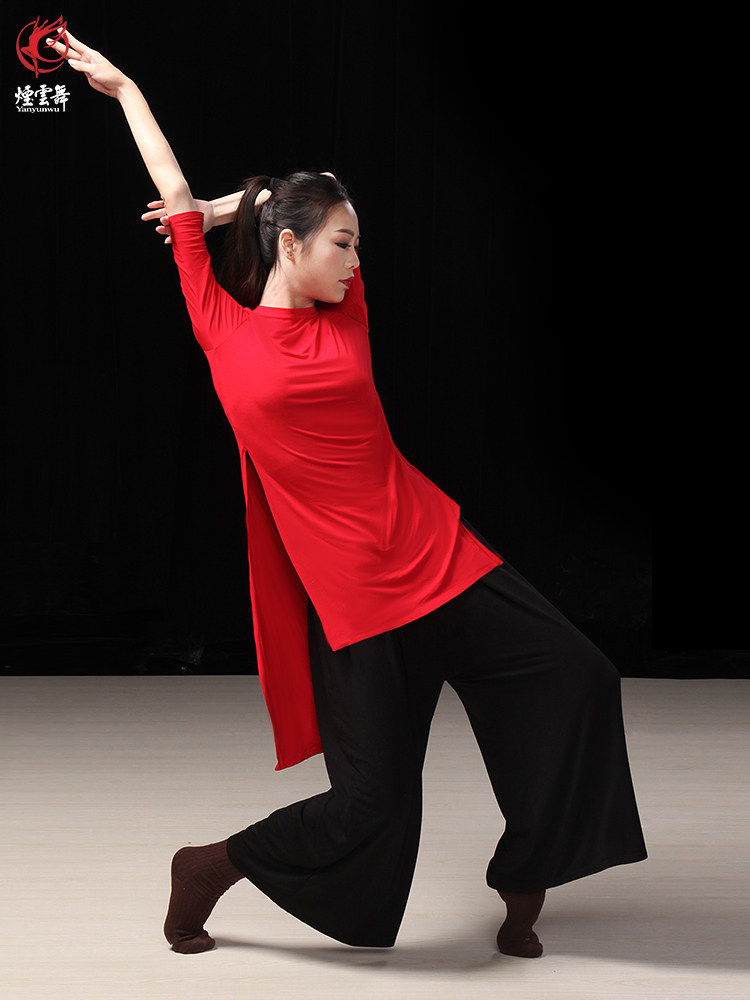 Smoke cloud dance Modern dance practice suit Top female dance suit Body practice suit Modal split long version dance suit