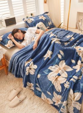 2025新款牛奶绒毛毯午睡毯空调毯子珊瑚绒毛毯200克毯子可压缩