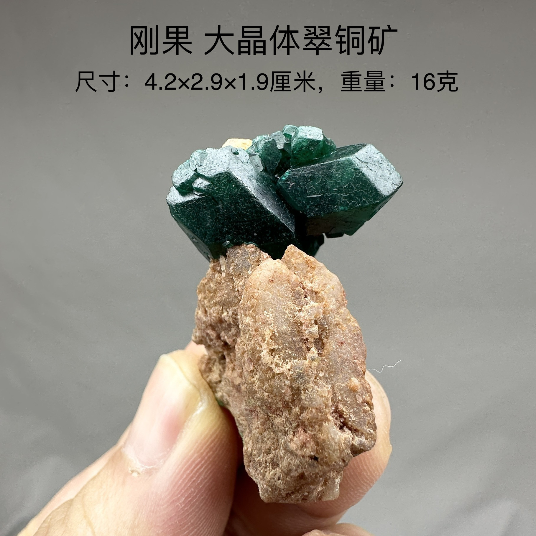 刚果大晶体翠铜矿 天然矿物晶体标本矿石原石收藏石头摆件d41