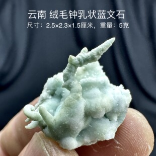 云南绒毛钟乳状蓝文石 天然矿物晶体标本矿石原石收藏石头摆件d18