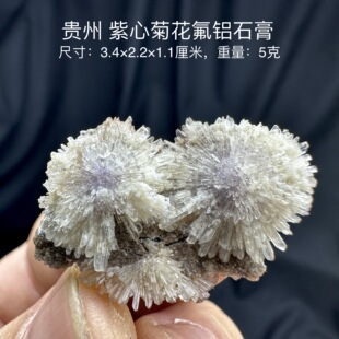 贵州紫心菊花氟铝石膏 天然矿物晶体标本矿石原石收藏石头摆件d32
