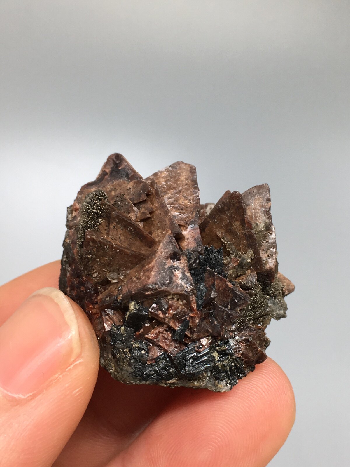 稀有貓礦日光流石電氣石天然礦石標本晶體水晶螢石擺件地質收藏在類目 飾品/流行首飾/時尚飾品新, 擺件中 - 來自Buy2taobao.com提供專業的淘寶代購服務