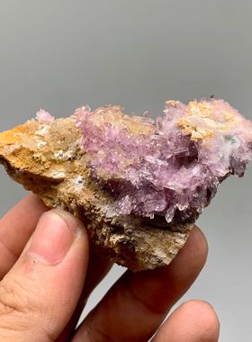 贵州紫色氟铝石膏花天然原矿石矿物晶体教学标本奇石摆件地质e22