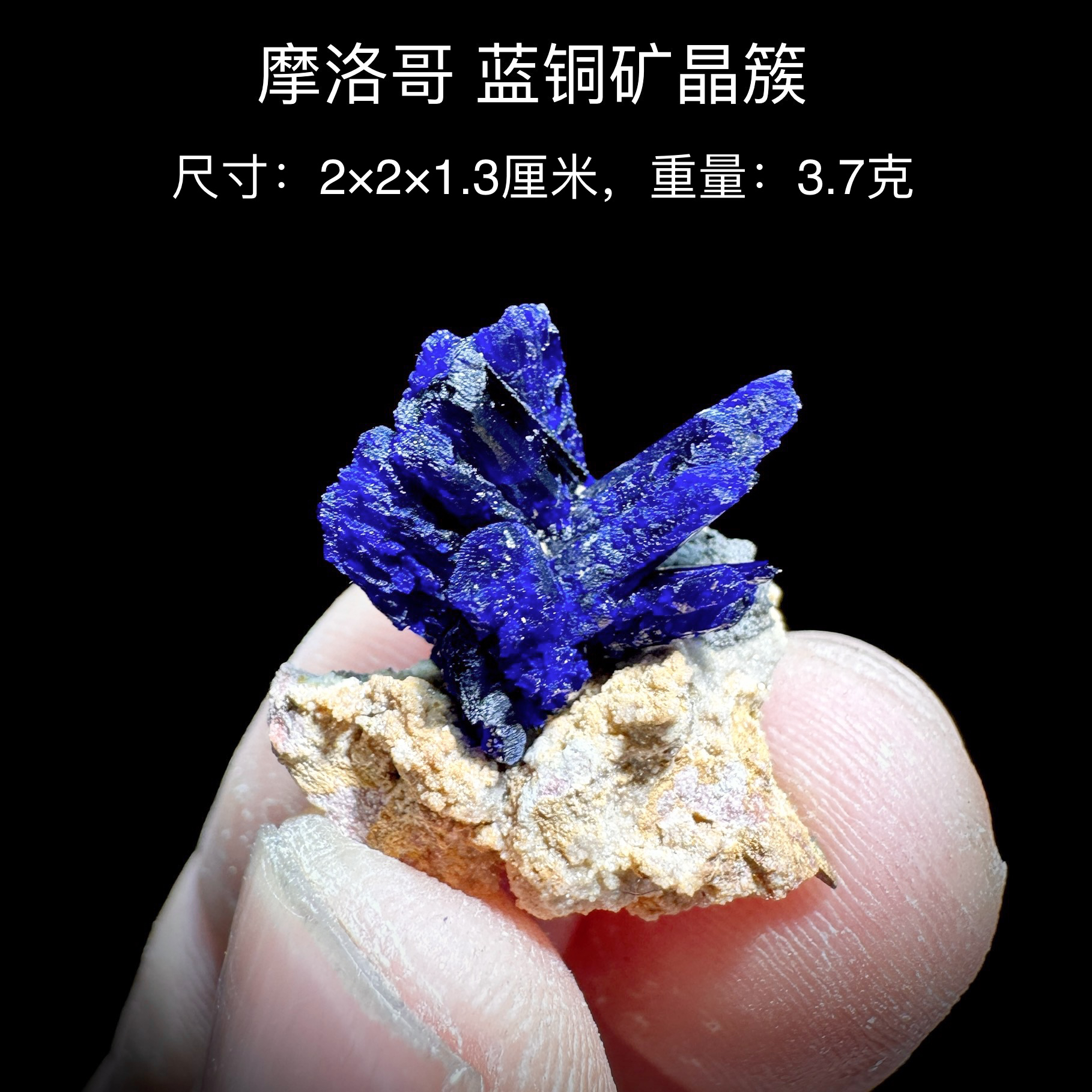 摩洛哥蓝铜矿晶簇 天然矿物晶体标本矿石原石收藏石头摆件d40