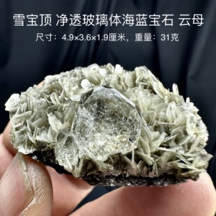 雪宝顶宝石级玻璃体海蓝宝石云母 天然矿物晶体标本原矿石摆件d34