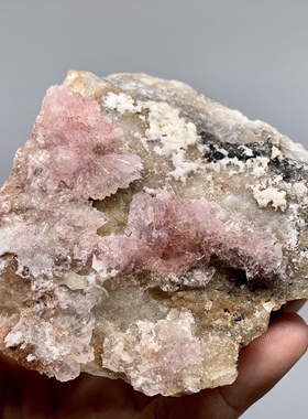 贵州花状紫色氟铝石膏 天然矿物晶体 教学标本矿石原石头收藏e22