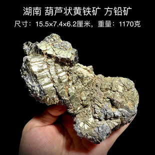 湖南葫芦状黄铁矿方铅矿 天然矿物晶体标本矿石原石收藏摆件d40