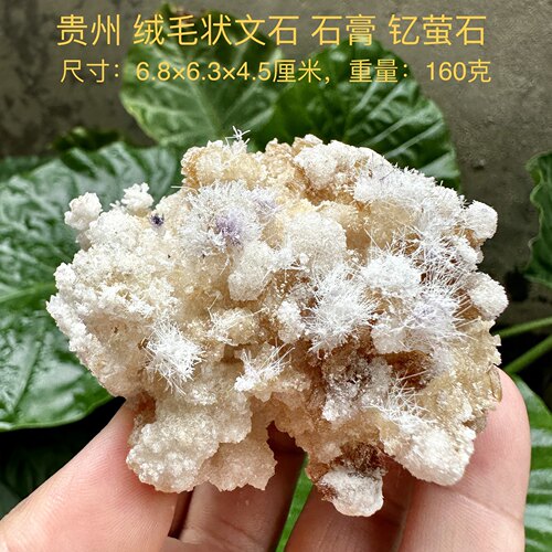 贵州绒毛状文石钇萤石石膏 天然矿物晶体标本矿石原石收藏摆件d18