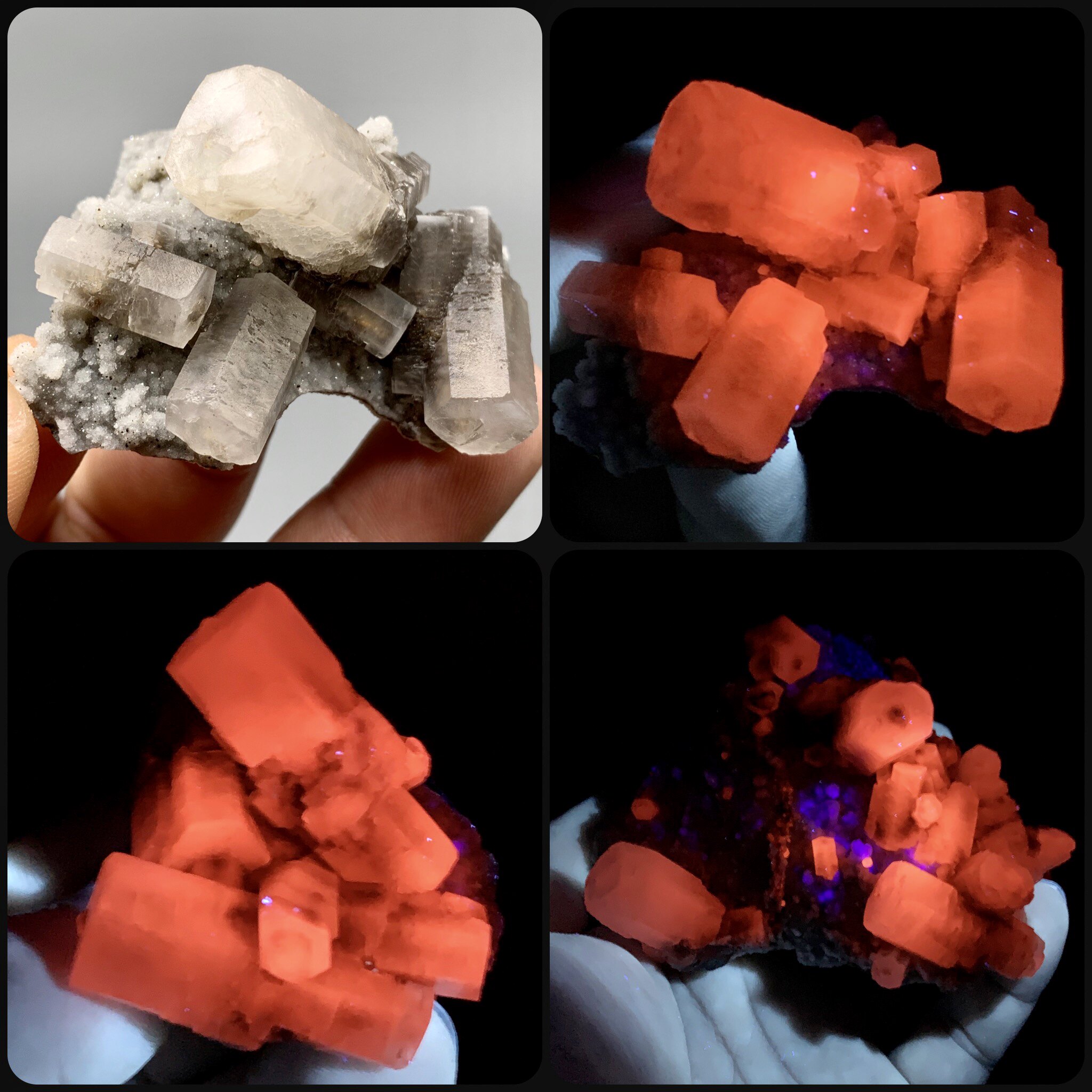 福建二次结晶柱状荧光熊猫方解石天然原矿石宝石矿物晶体标本科普