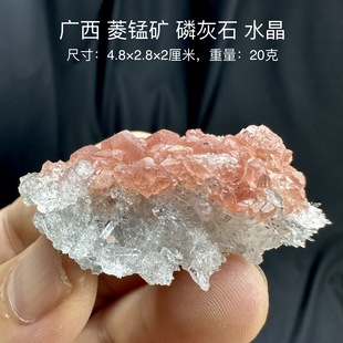 广西菱锰矿磷灰石水晶簇 天然矿物晶体标本矿石原石收藏摆件d31