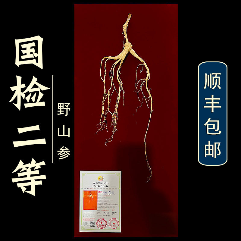 国检二等野山参吉林长白山人参林下参老20年泡酒专用人身高端礼盒