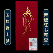 国检二等野山参吉林长白山人参林下参老20年泡酒专用高端礼盒年货