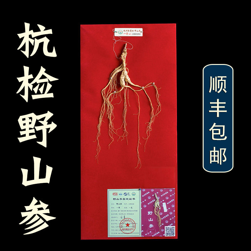 杭检一等二野山参吉林长白山人参林下参高端礼盒泡酒专用30年国检