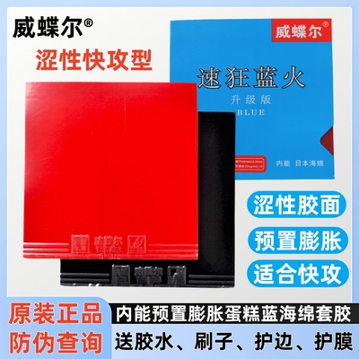 威蝶尔涩性速狂蓝火快攻反胶套胶