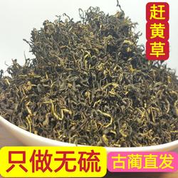 古蔺基地直发麓原君赶黄草叶泡水喝的非溪黄草