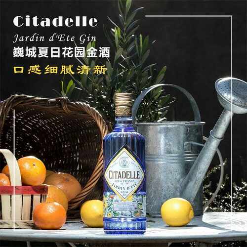 法国进口700ml夏日花园金酒