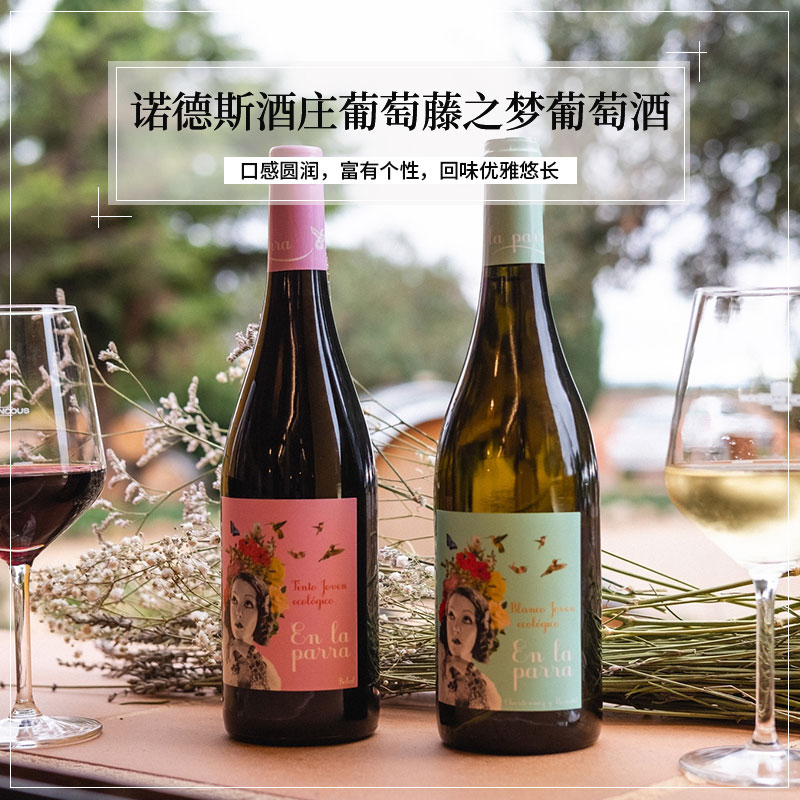 西班牙进口干白葡萄酒葡萄藤之梦诺德斯酒庄系列干白静态家宴聚餐