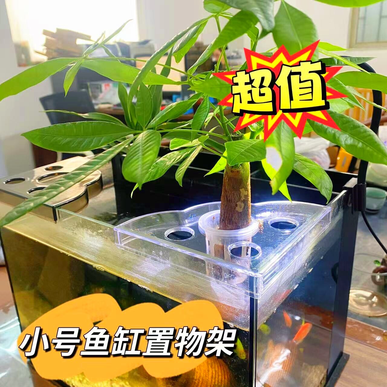 小号置物架水培造景饲料收纳