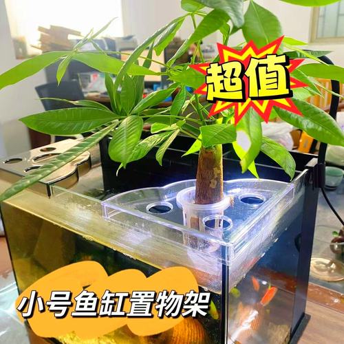 14x14厘米鱼缸置物架造景装饰水培托盘乌龟防逃脱盖板饲料收纳